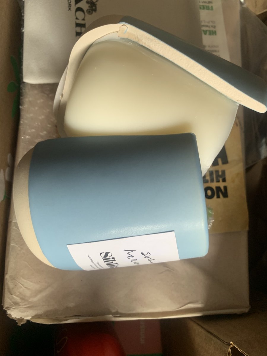 𝐑𝐞𝐧𝐞𝐞 𝐋𝐞𝐞 𝐆𝐫𝐞𝐜𝐨 tweet media