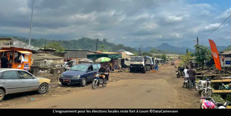 Ronel Tedeffo tweet media