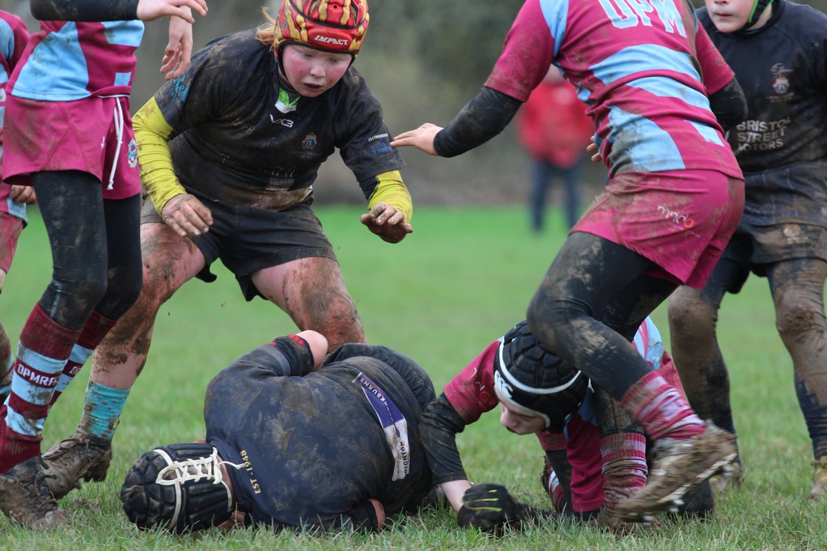 Paul Sample tweet media