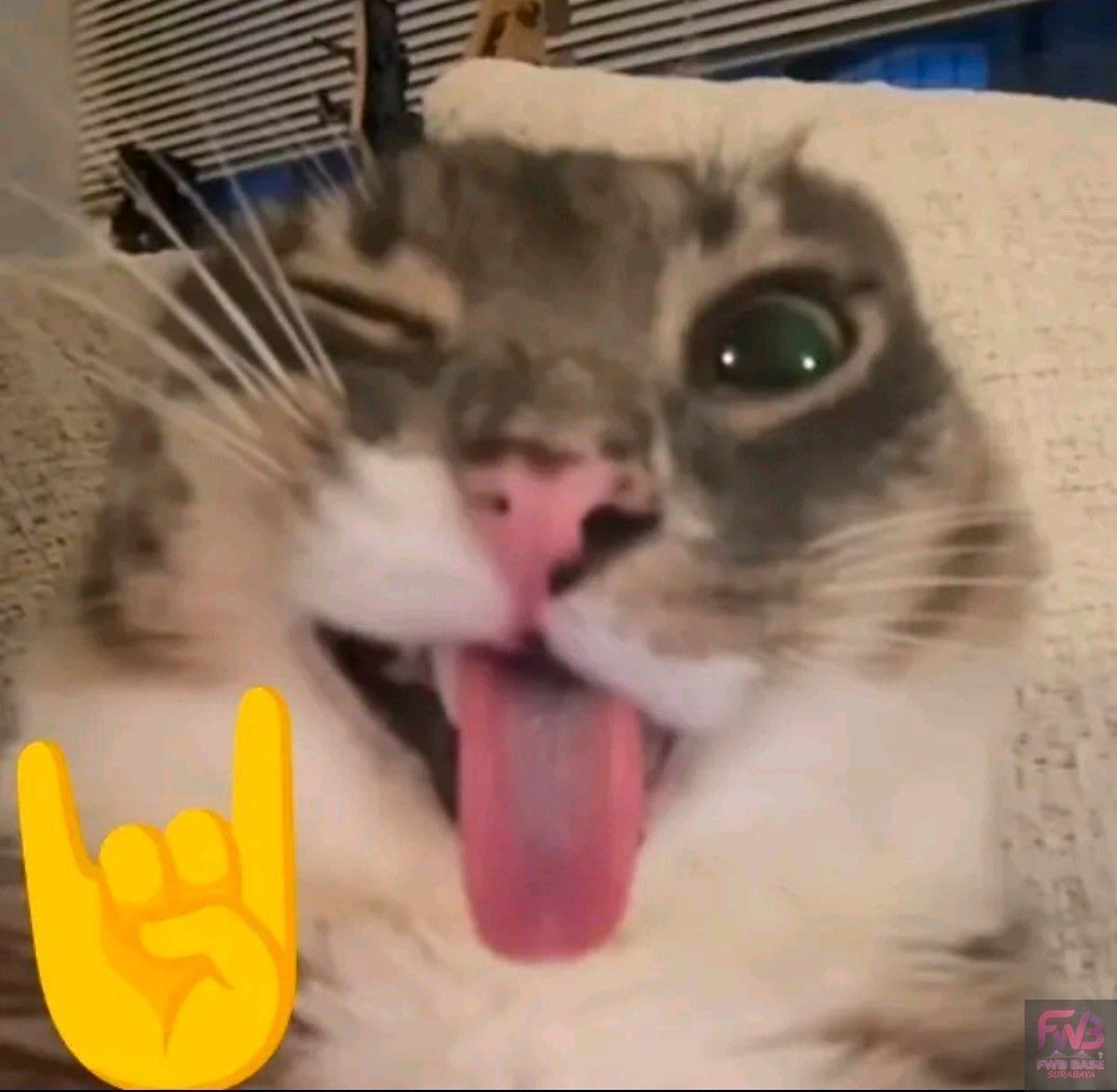 FWB BASE SURABAYA tweet media