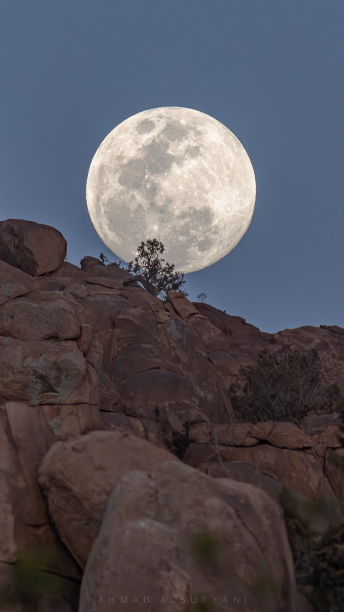 Ahmad Alsufyani tweet media