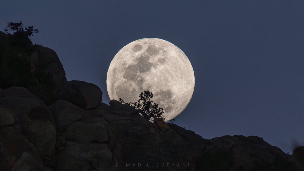 Ahmad Alsufyani tweet media