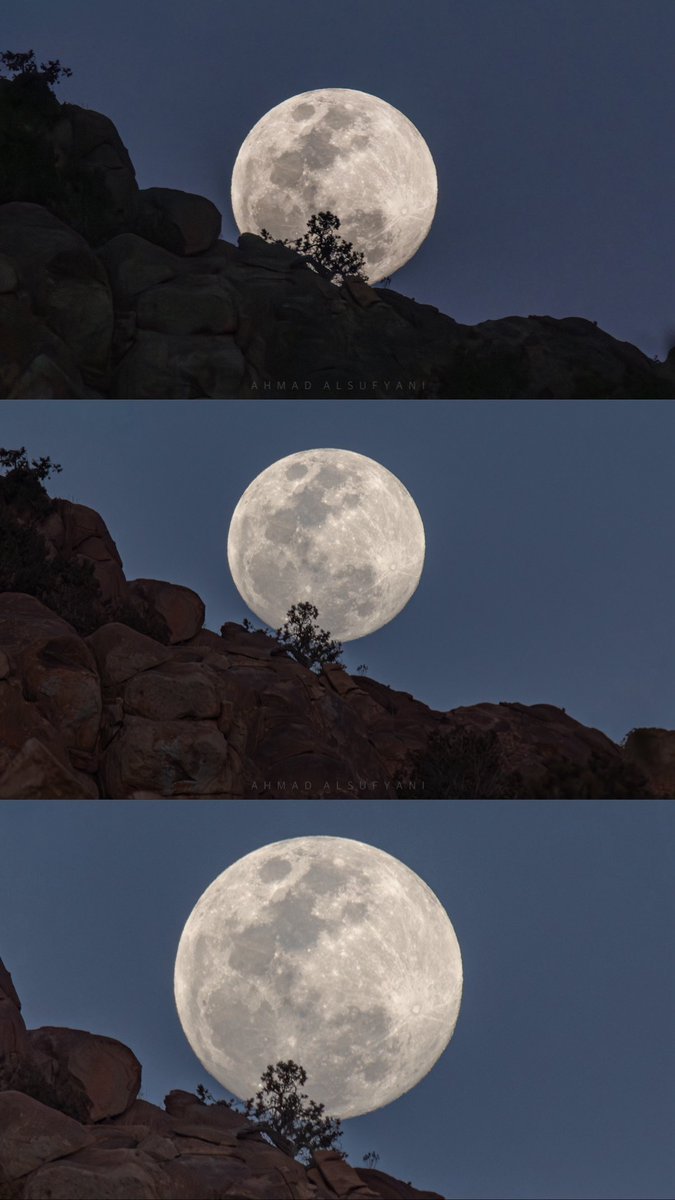 Ahmad Alsufyani tweet media