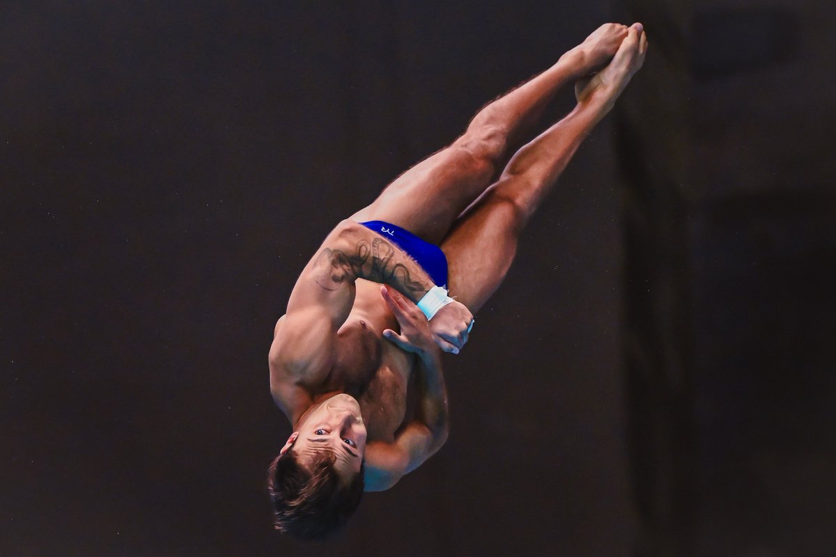 USA Diving tweet media
