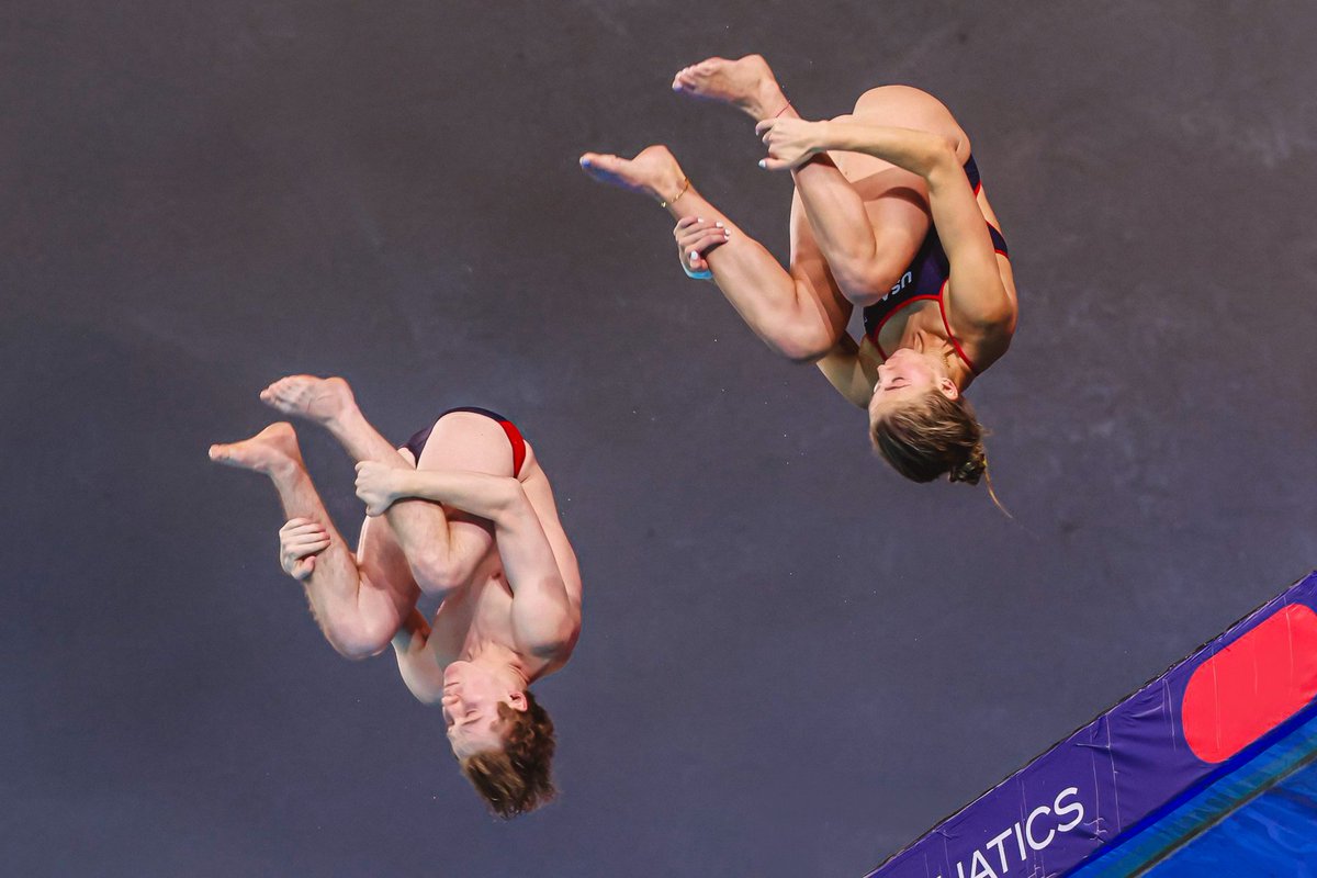 USA Diving tweet media