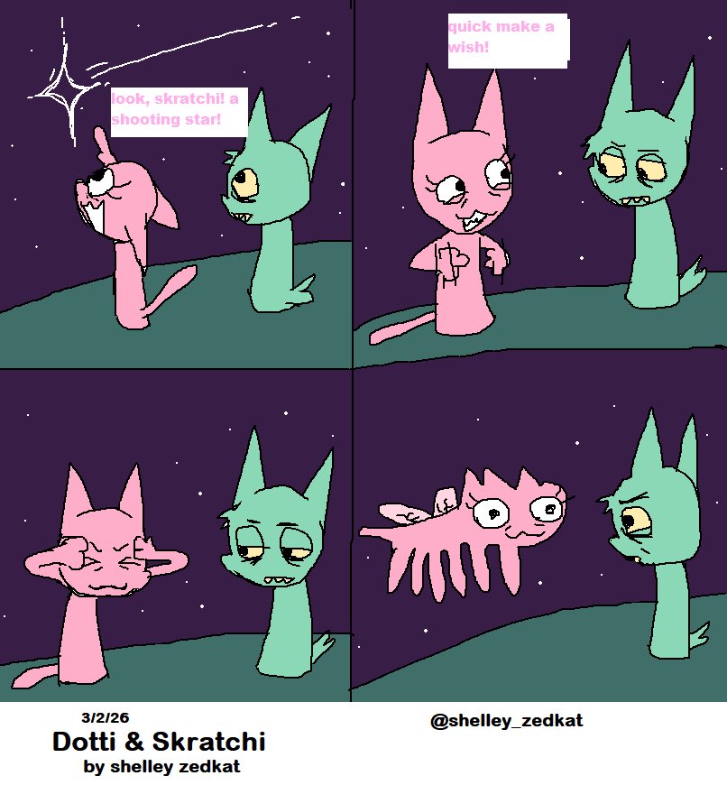 Shelley Zedkat tweet media