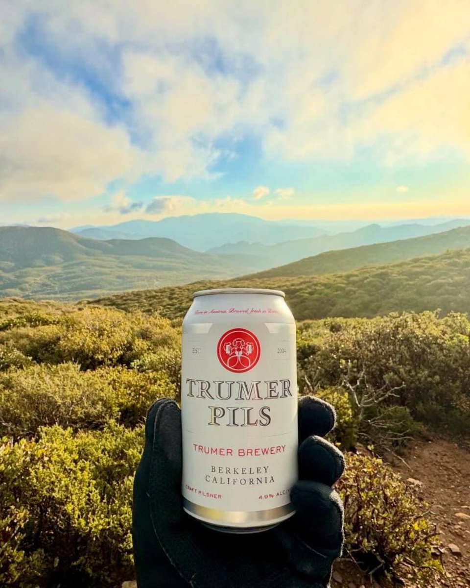 Trumer USA tweet media