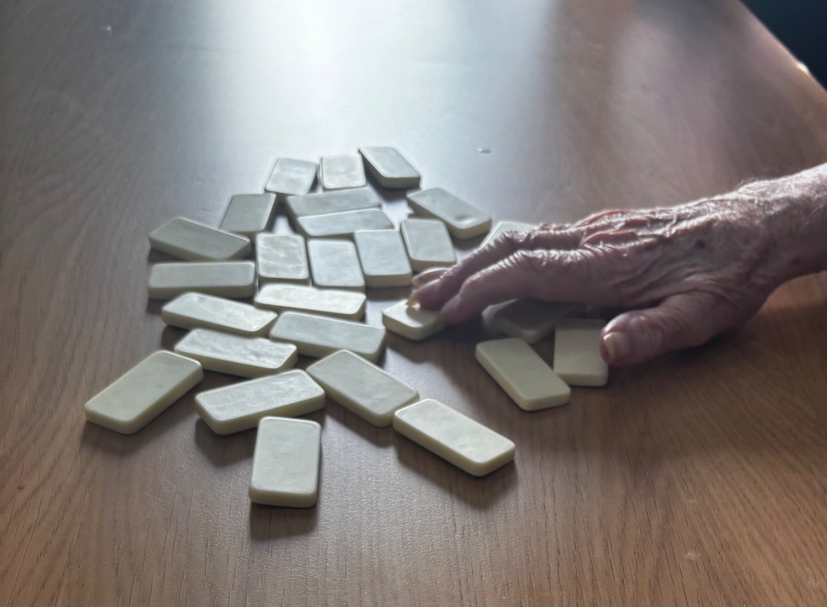 Kingfisher Ward tweet media