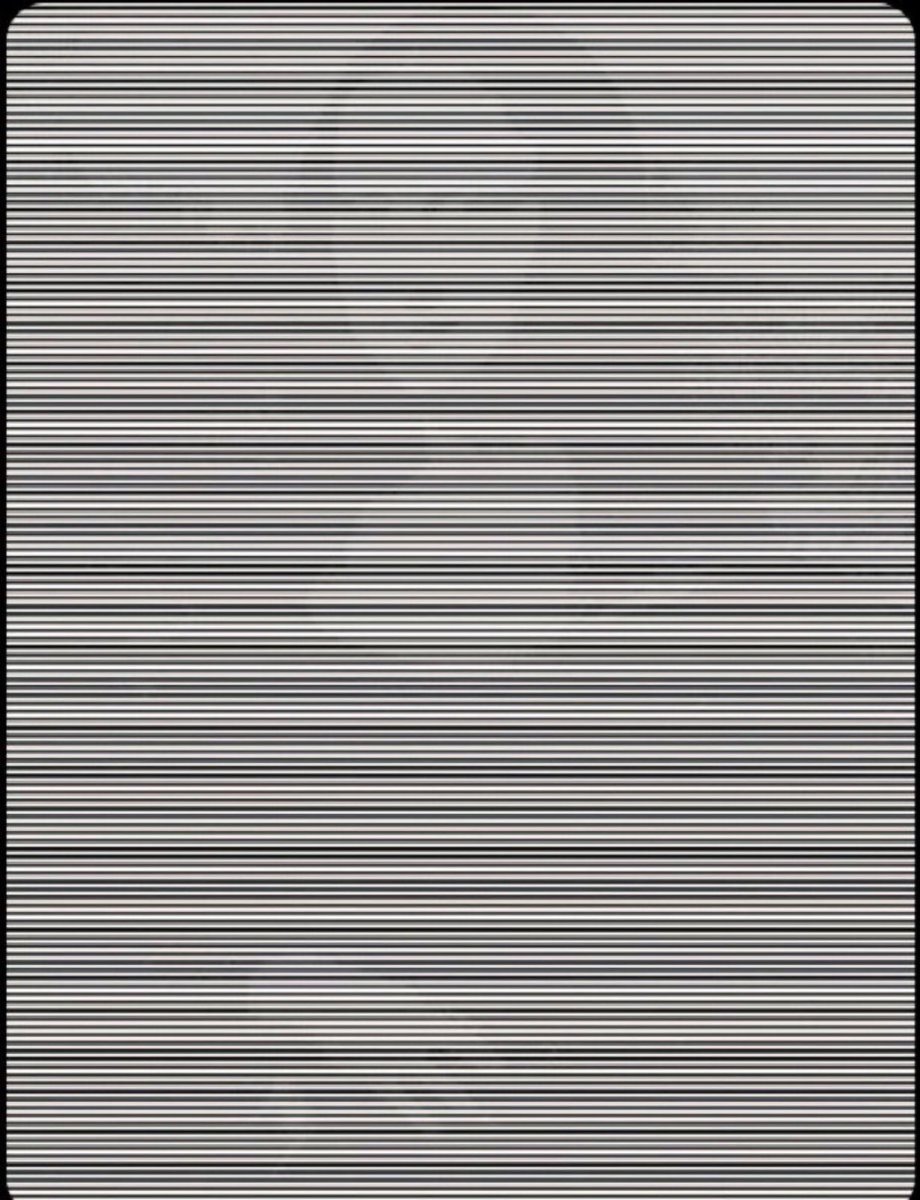 FAN ELON MUSK NEWS tweet media