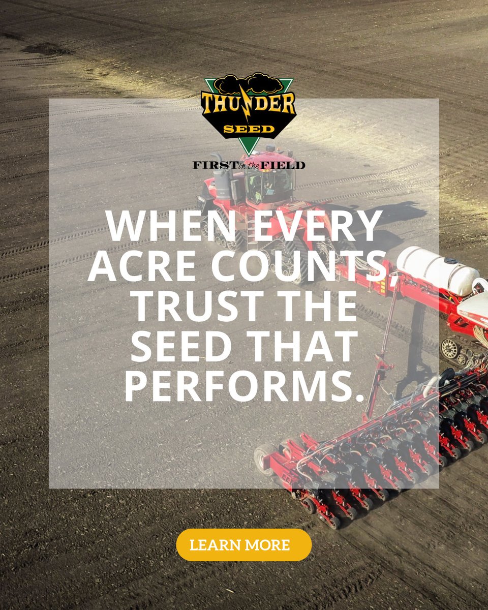 Thunder Seed tweet media