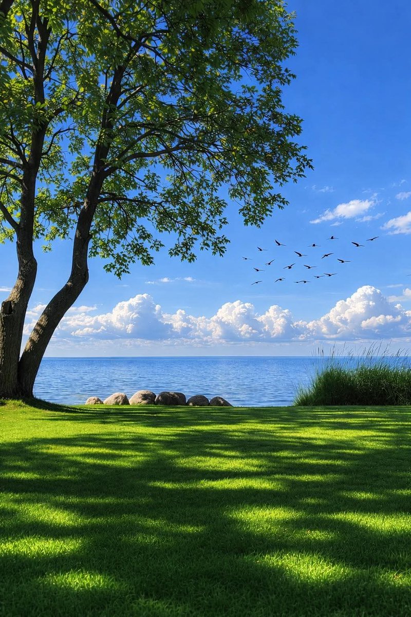 World Click (@worldclick56) on Twitter photo 