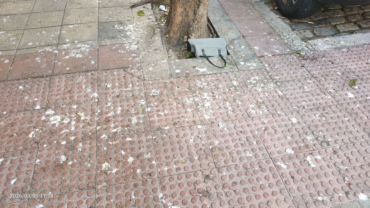 Cactus Monkey tweet media