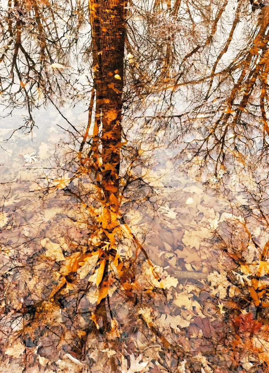 hiker711's tweet image. ☃️winter is over 🍂
          🌱🌱🌱
📸 #spring  #fall