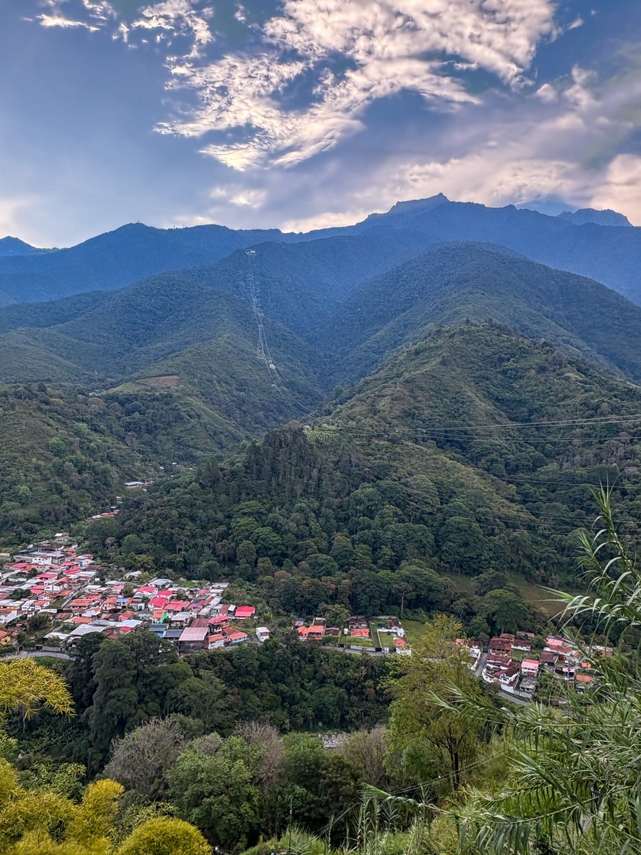 Catherine Ellis tweet media