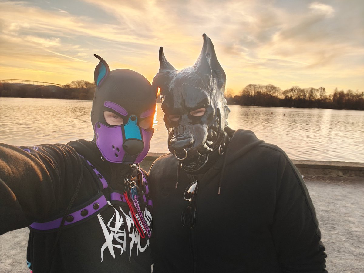 Pup Meta tweet media