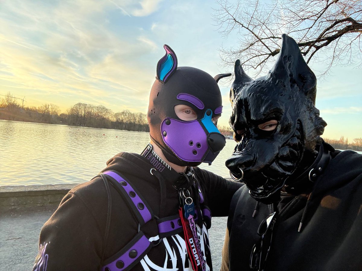 Pup Meta tweet media