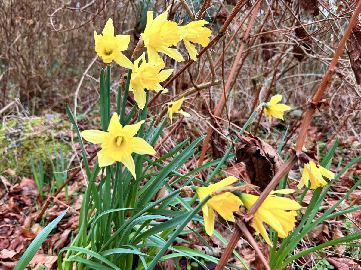 Eamon Deeny tweet media