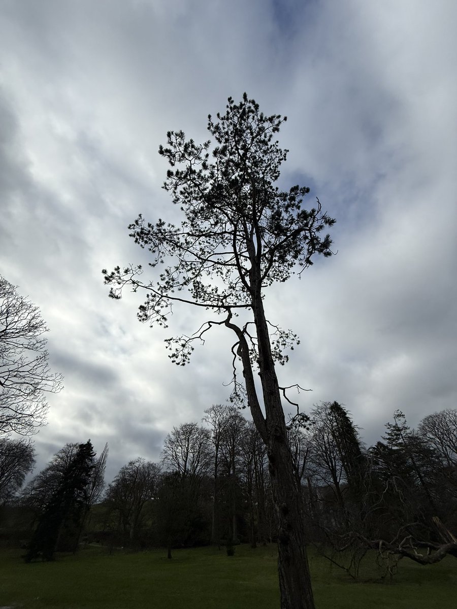 Eamon Deeny tweet media