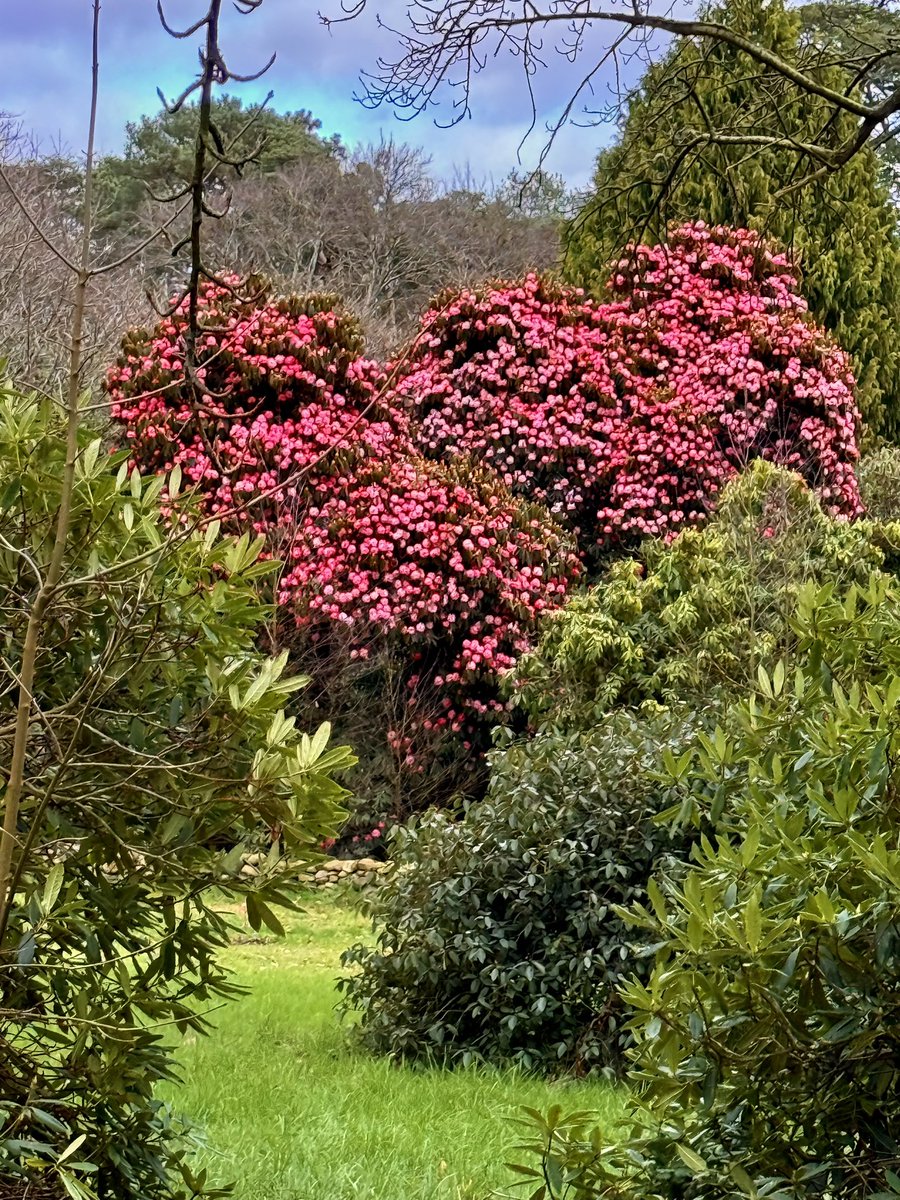 Eamon Deeny tweet media