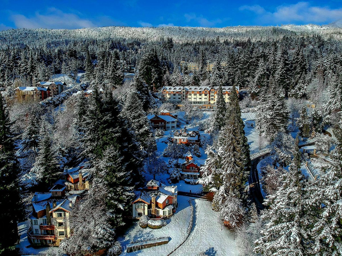Friuli 🇦🇷 tweet media