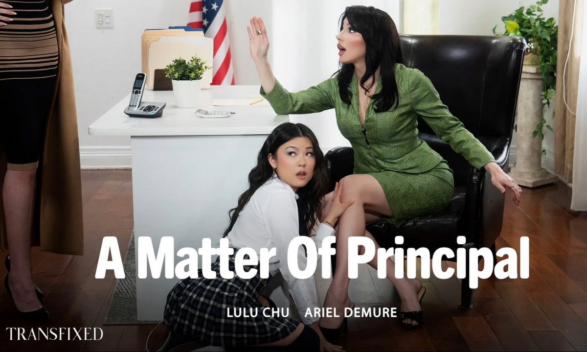 AVN Media Network tweet media