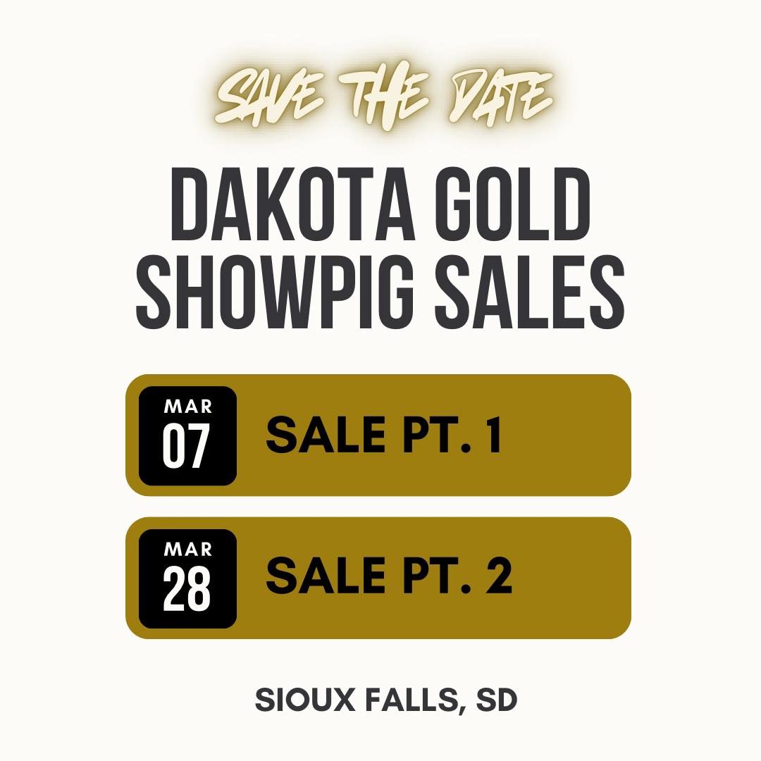 🔥 Get ready! The Dakota Gold Pig Sale is coming up on March 7!
We’re gearing up for an incredible lineup of high‑quality show pigs from dedicated breeders who know what it takes to raise champions. 
🐖 siouxempirefair.com/events/2026/da…