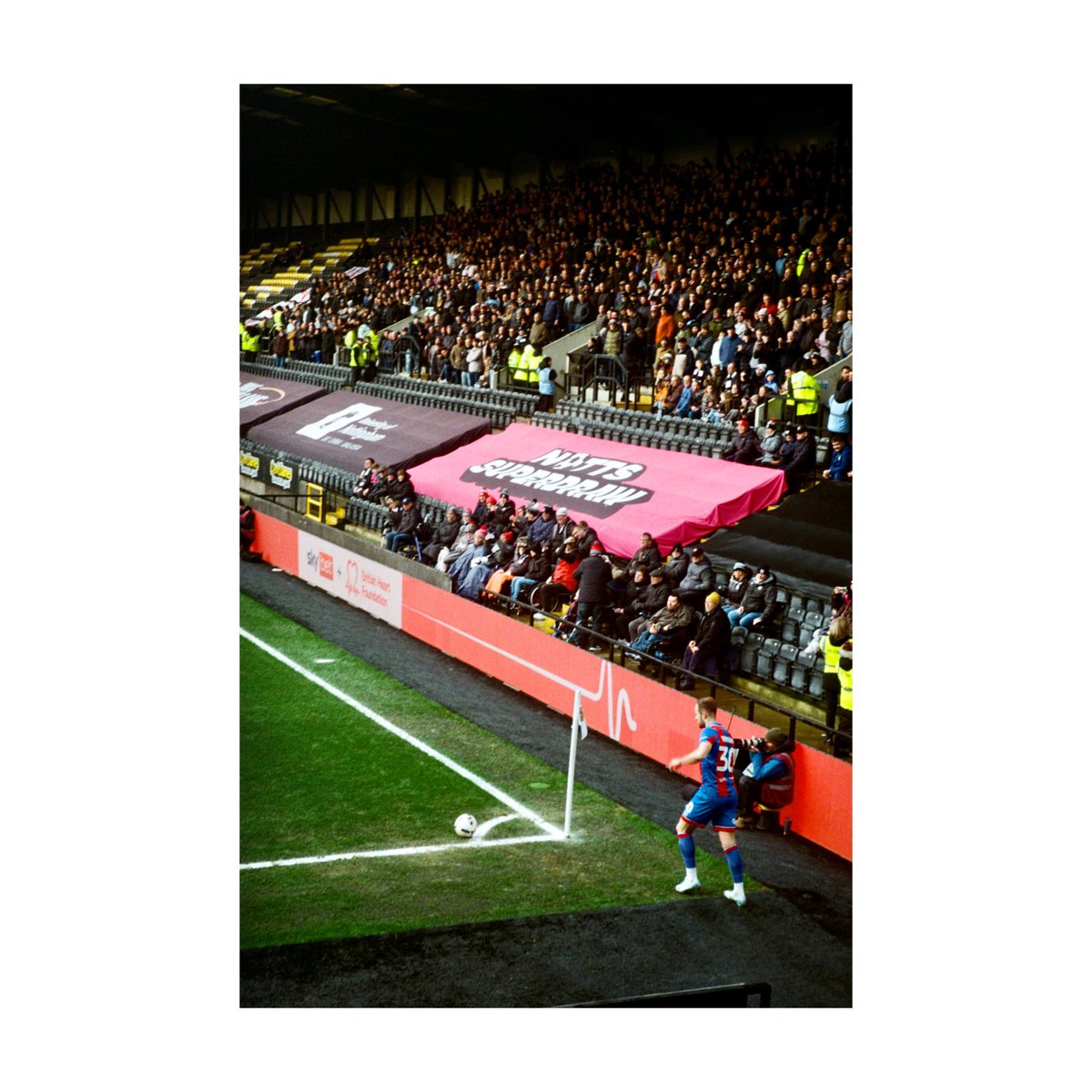 Adam Andrews tweet media