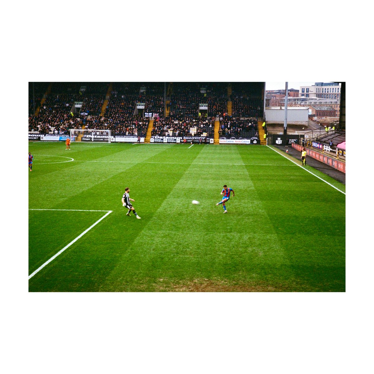 Adam Andrews tweet media