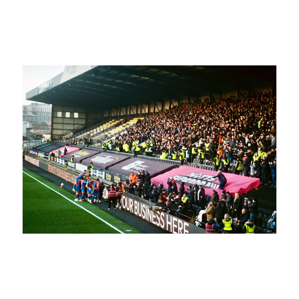 Adam Andrews tweet media