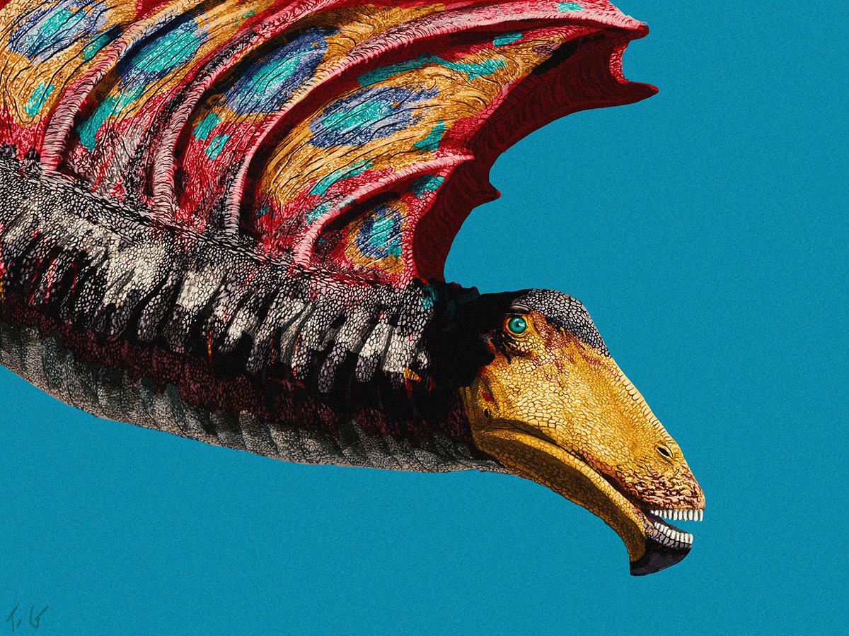 Tess Gallagher🦕(@tessasaurus.bsky.social) tweet media