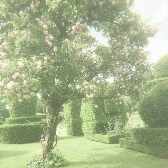 luv2miso tweet media