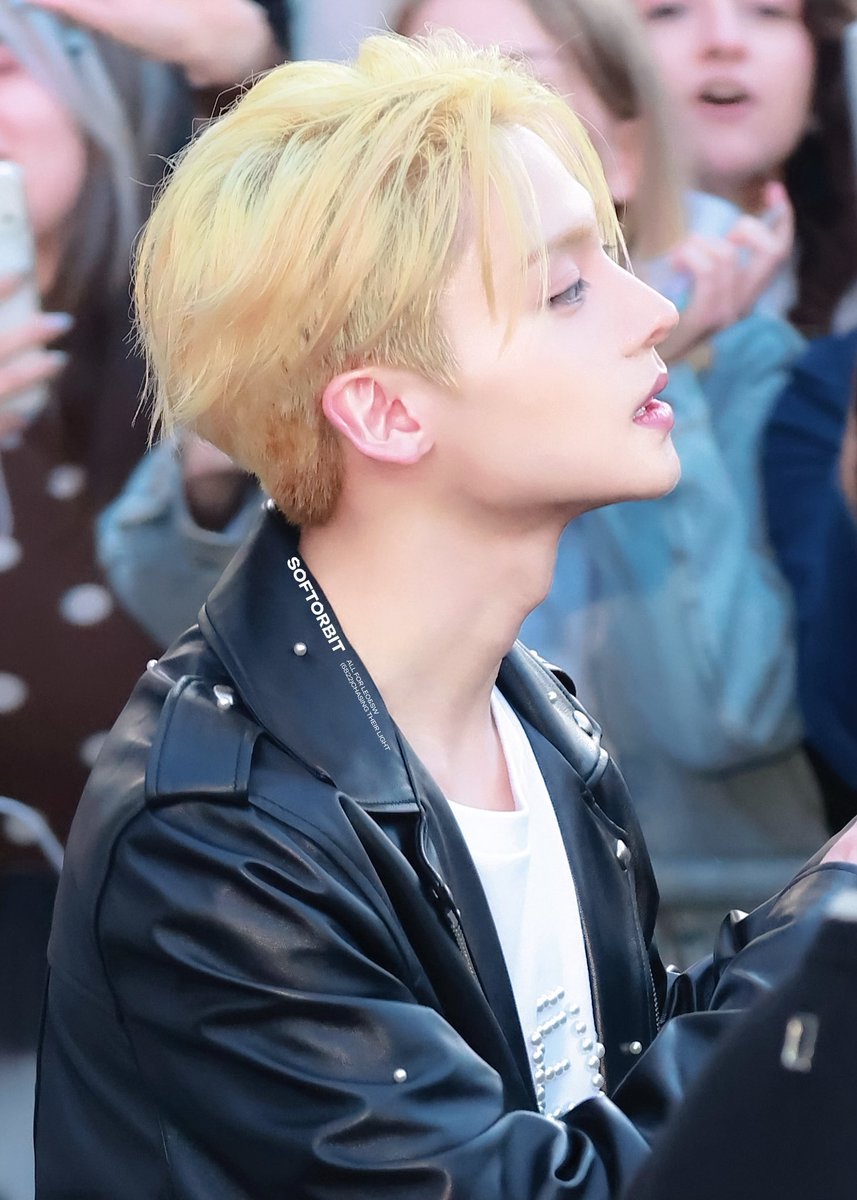 SoftOrbit5822 tweet media