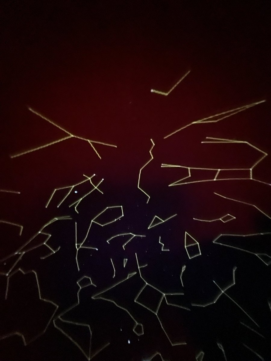 Ms. Dipaoli 🍎🖍❤️ tweet media