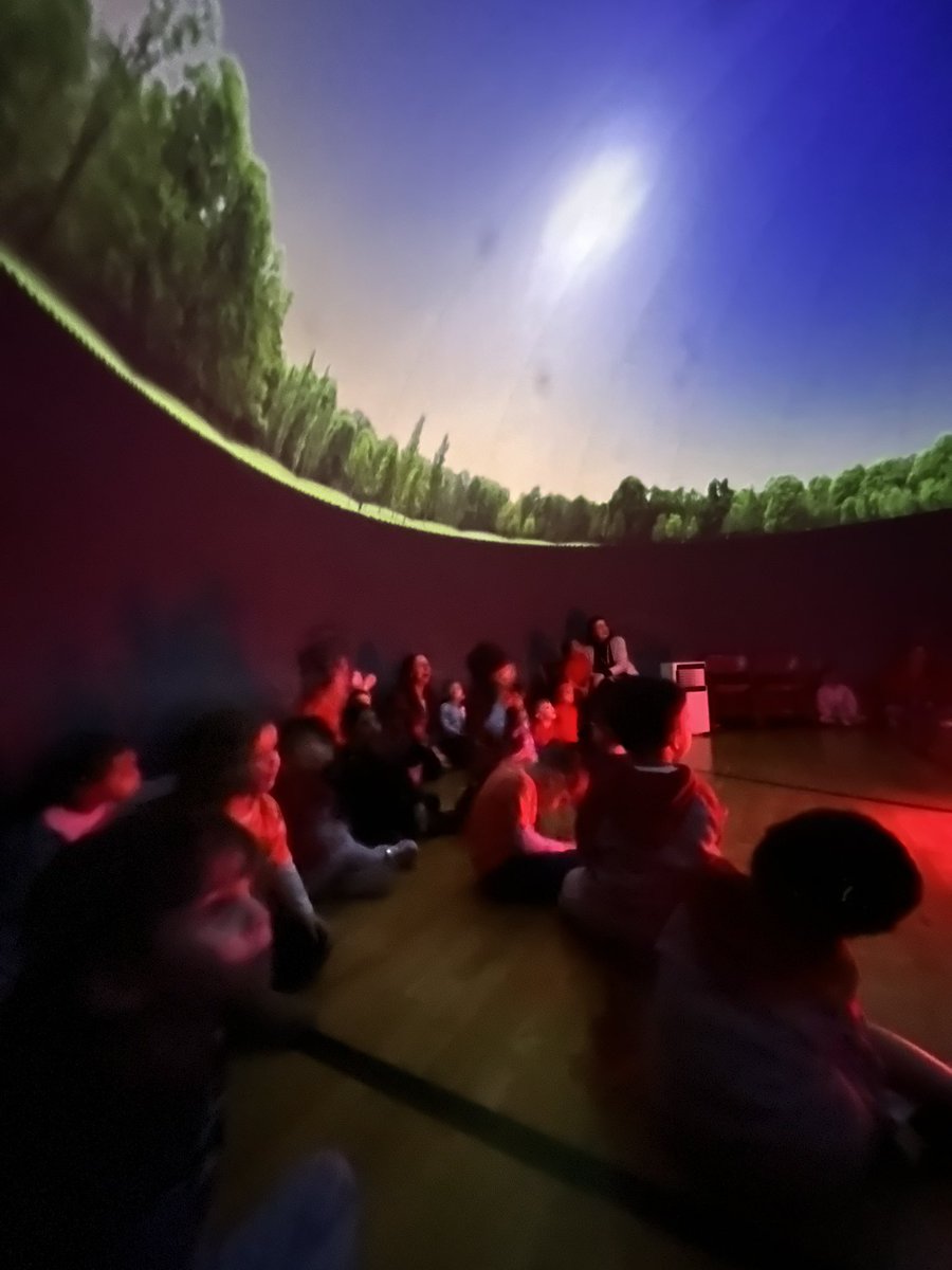 Ms. Dipaoli 🍎🖍❤️ tweet media