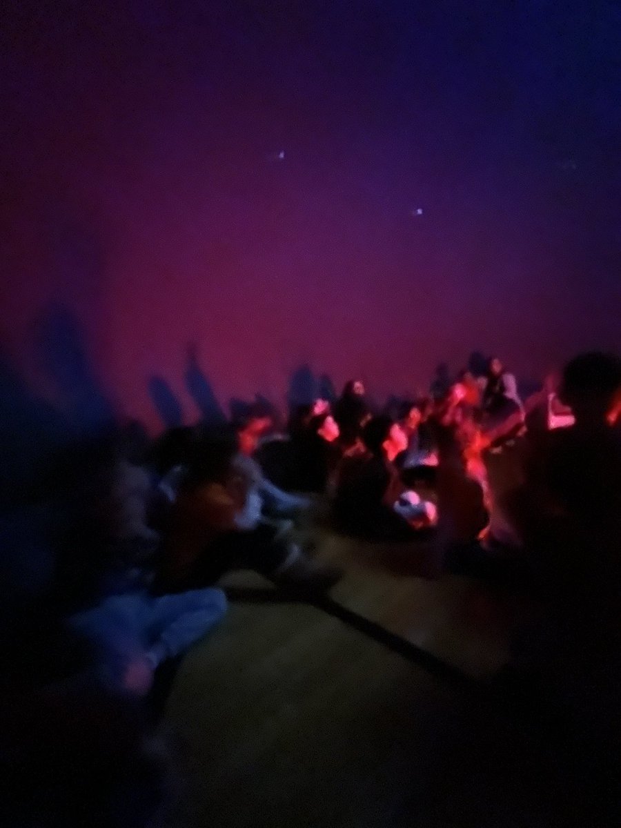 Ms. Dipaoli 🍎🖍❤️ tweet media