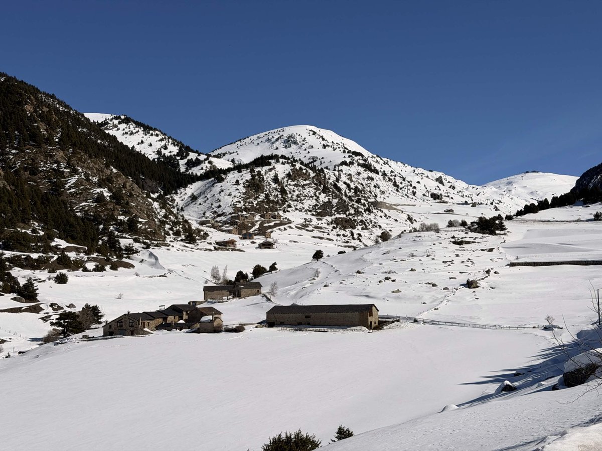 Rand Group tweet media