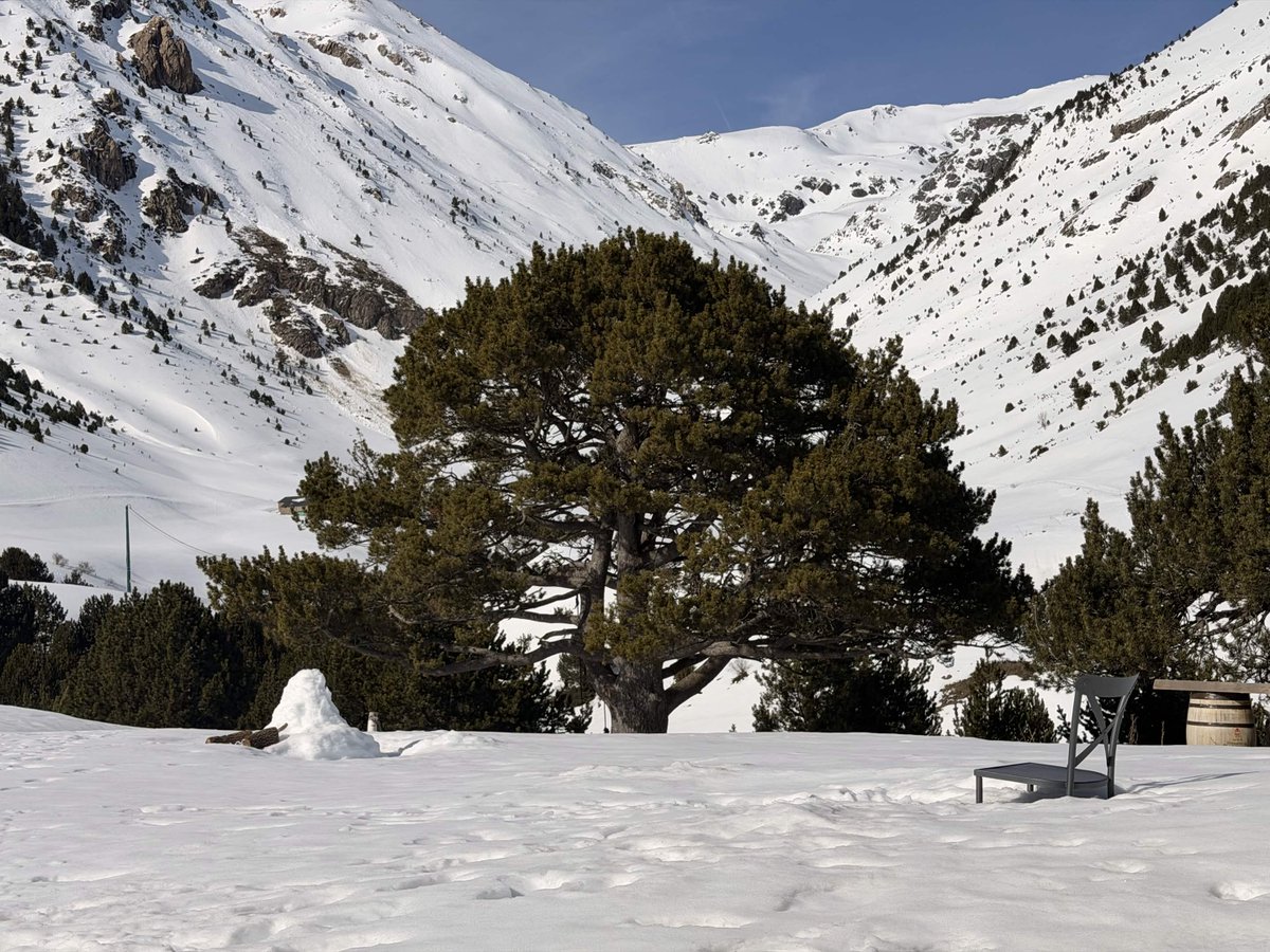 Rand Group tweet media