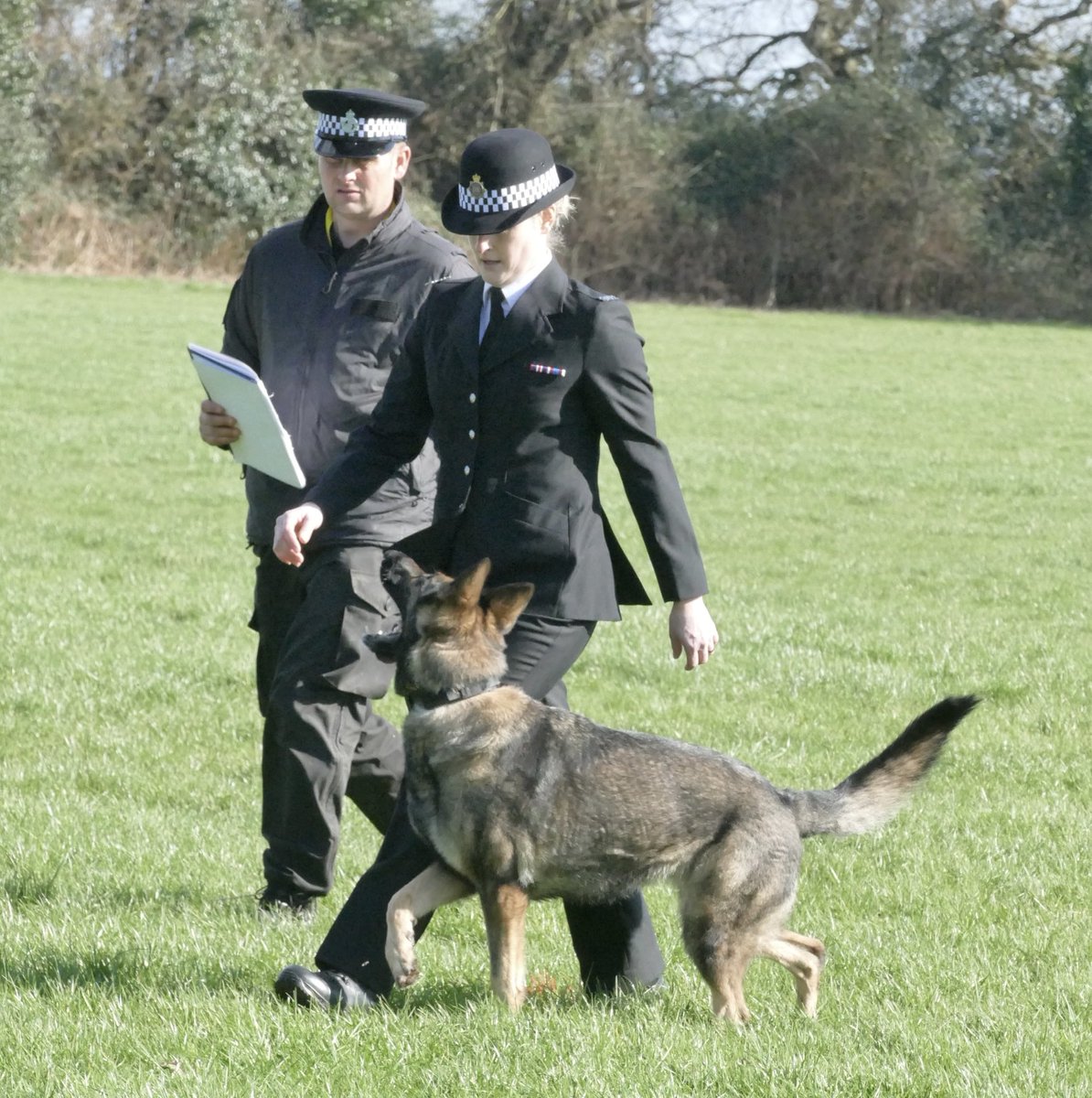 DC_Police Dogs ( Puppy Development Program) tweet media