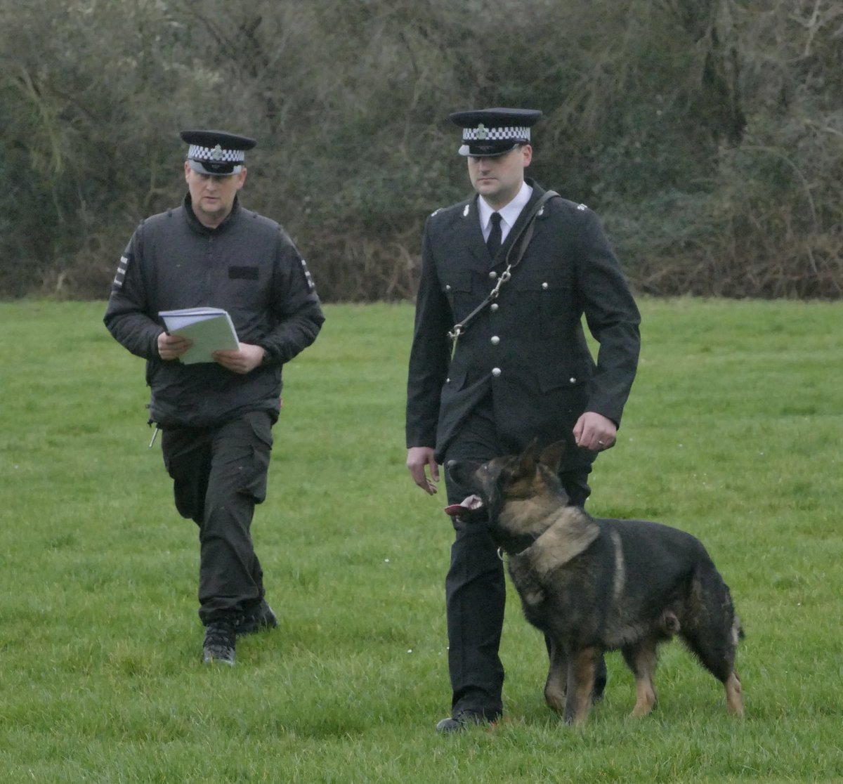 DC_Police Dogs ( Puppy Development Program) tweet media