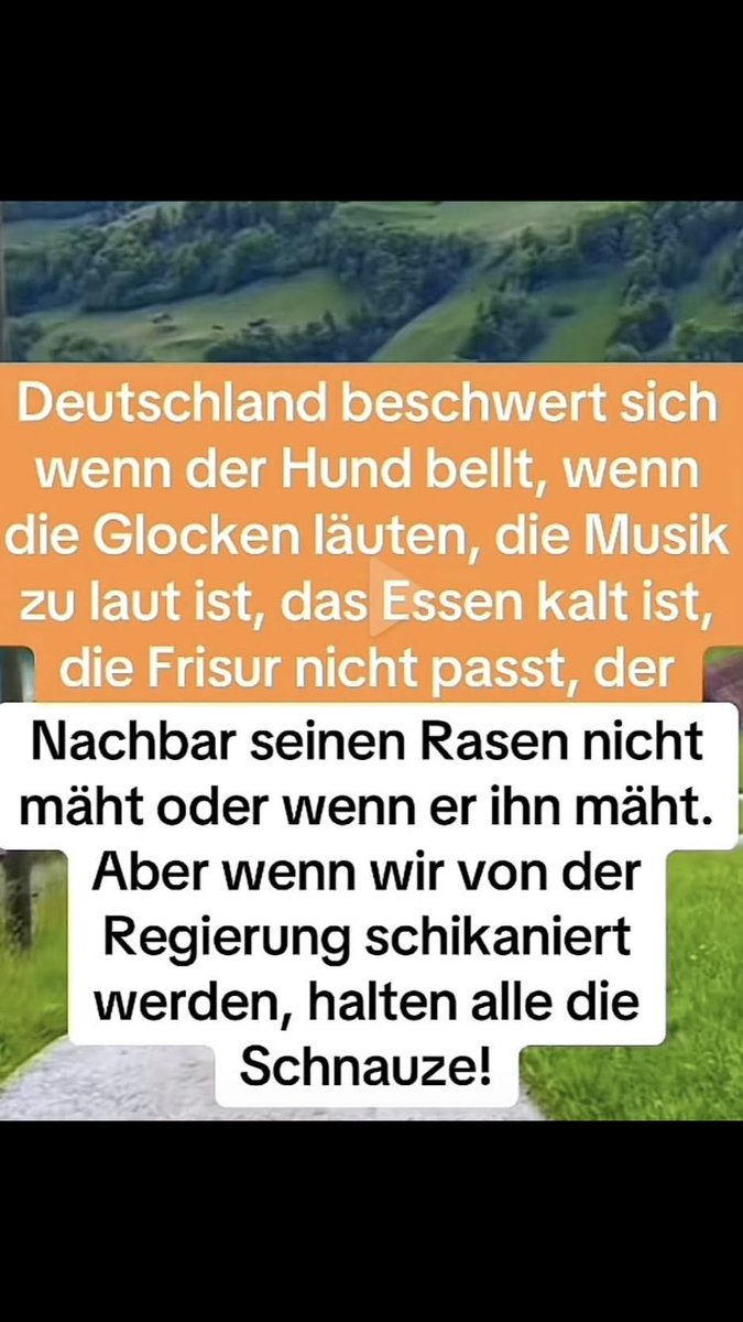 Auf Zeit gewählte Loser ⬛️🟥🟩 … die auf dem freien Arbeitsmarkt niemals einen Job finden würden … wem flößen diese Loser ⬛️🟥🟩 einen Hauch von Respekt ein ???