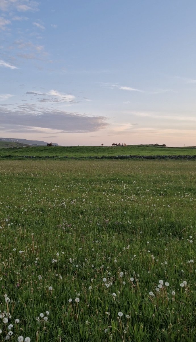 IloveDoolin's tweet image. #MemberMonday  ✨ Wild Meadow Huts 💚

Anne and Conor are the owners of Wild Meadow. With over 34 years of experience in the tourism industry in Doolin including a successful seafood restaurant and B&amp;amp;B.

We reopen on April 3rd for the 2026 season. wildmeadowhuts.ie.