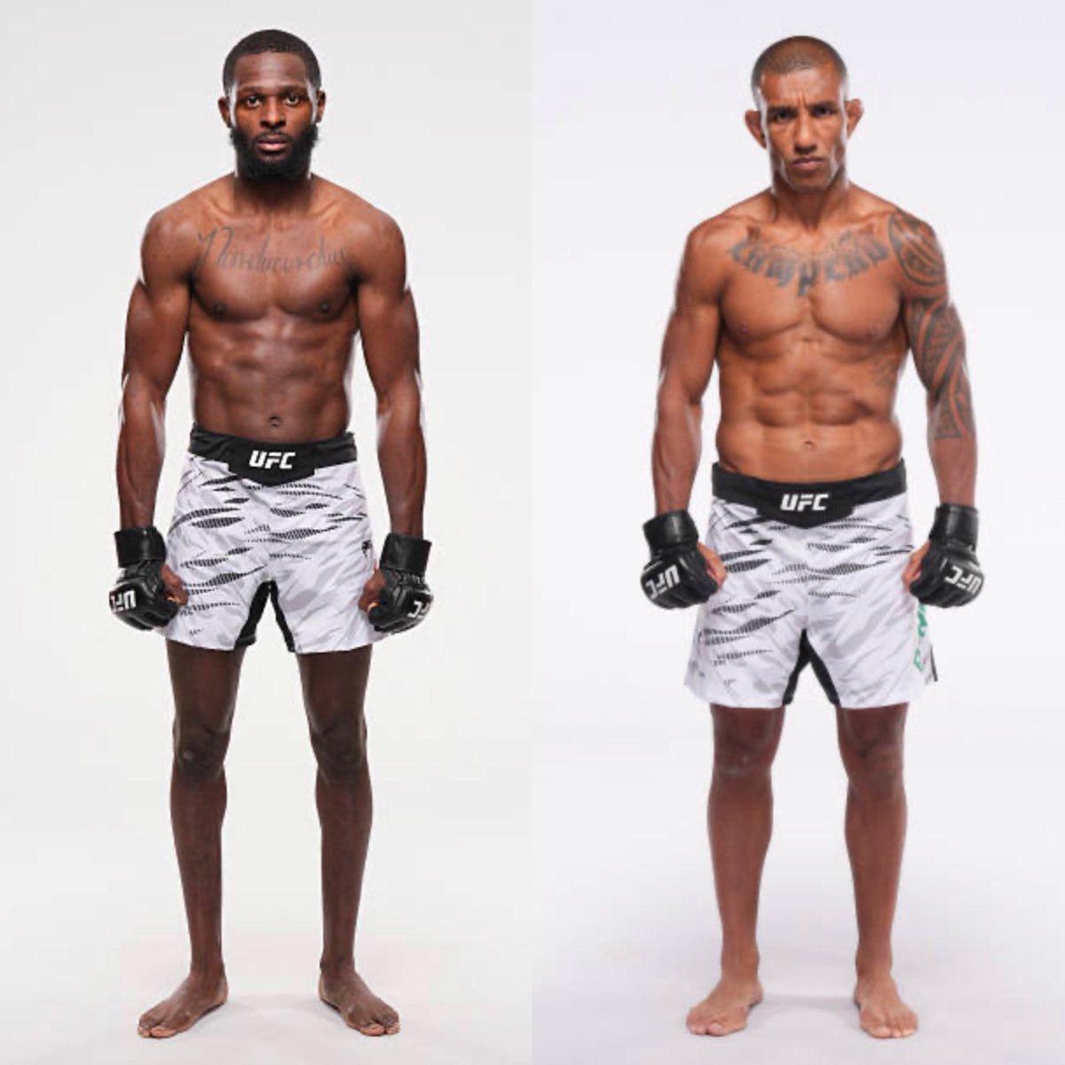 MMA Orbit tweet media