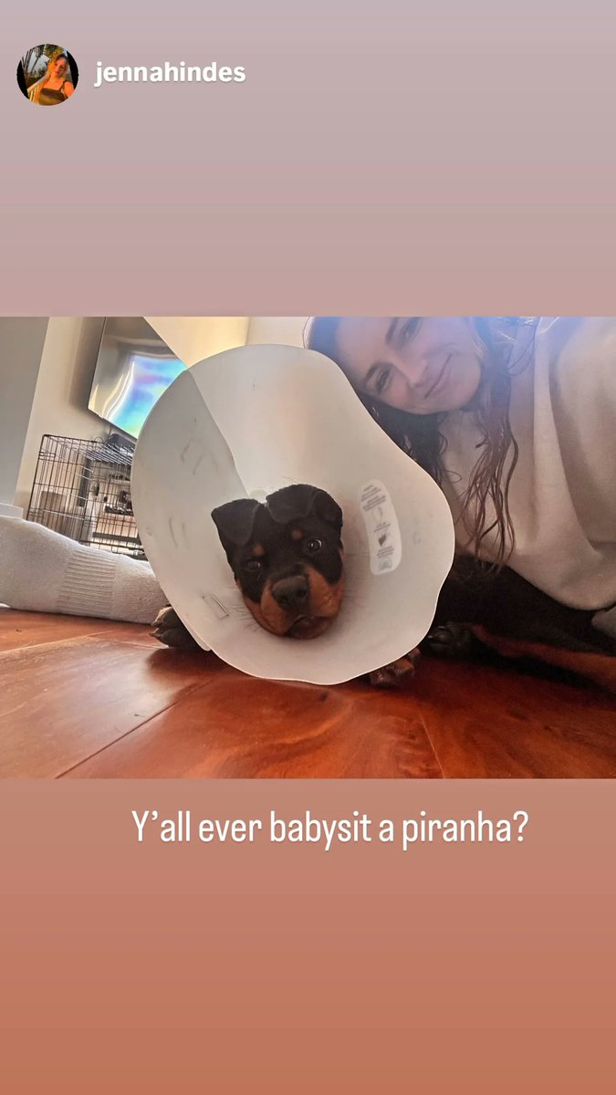 Ocelotl_Mx's tweet photo. Jenna & Cali π«π€πΆπΎπΎ
#Cali #Family #puppy #buddy #Friends
#TracySpiridakos #JesseLeeSoffer
#Trasse #UpsteadReunion https://t.co/PzMreaBBOC