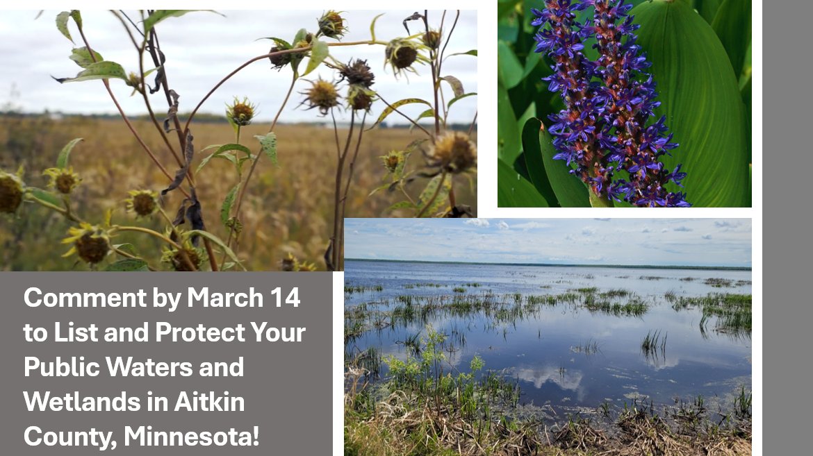 WaterLegacy tweet media