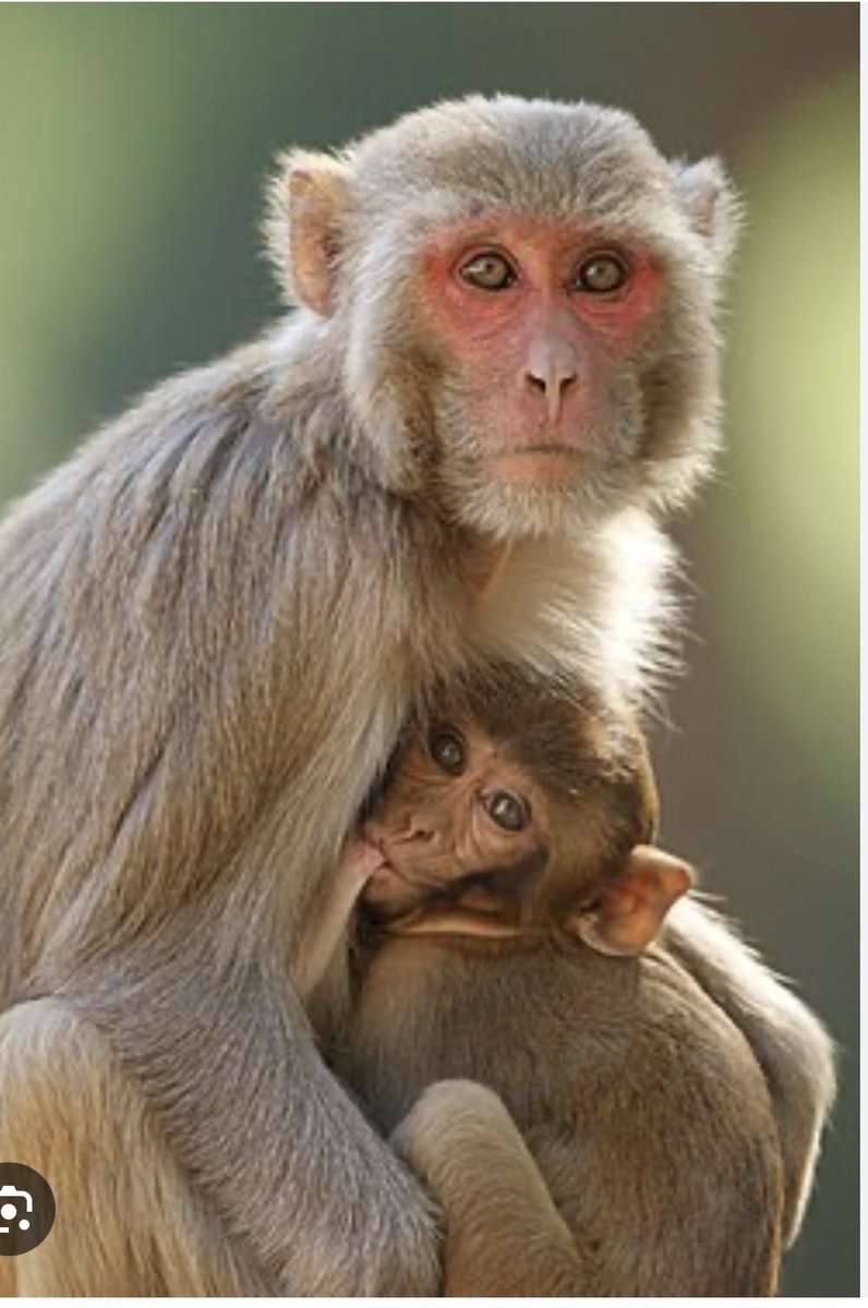 Bertro The Artist tweet media