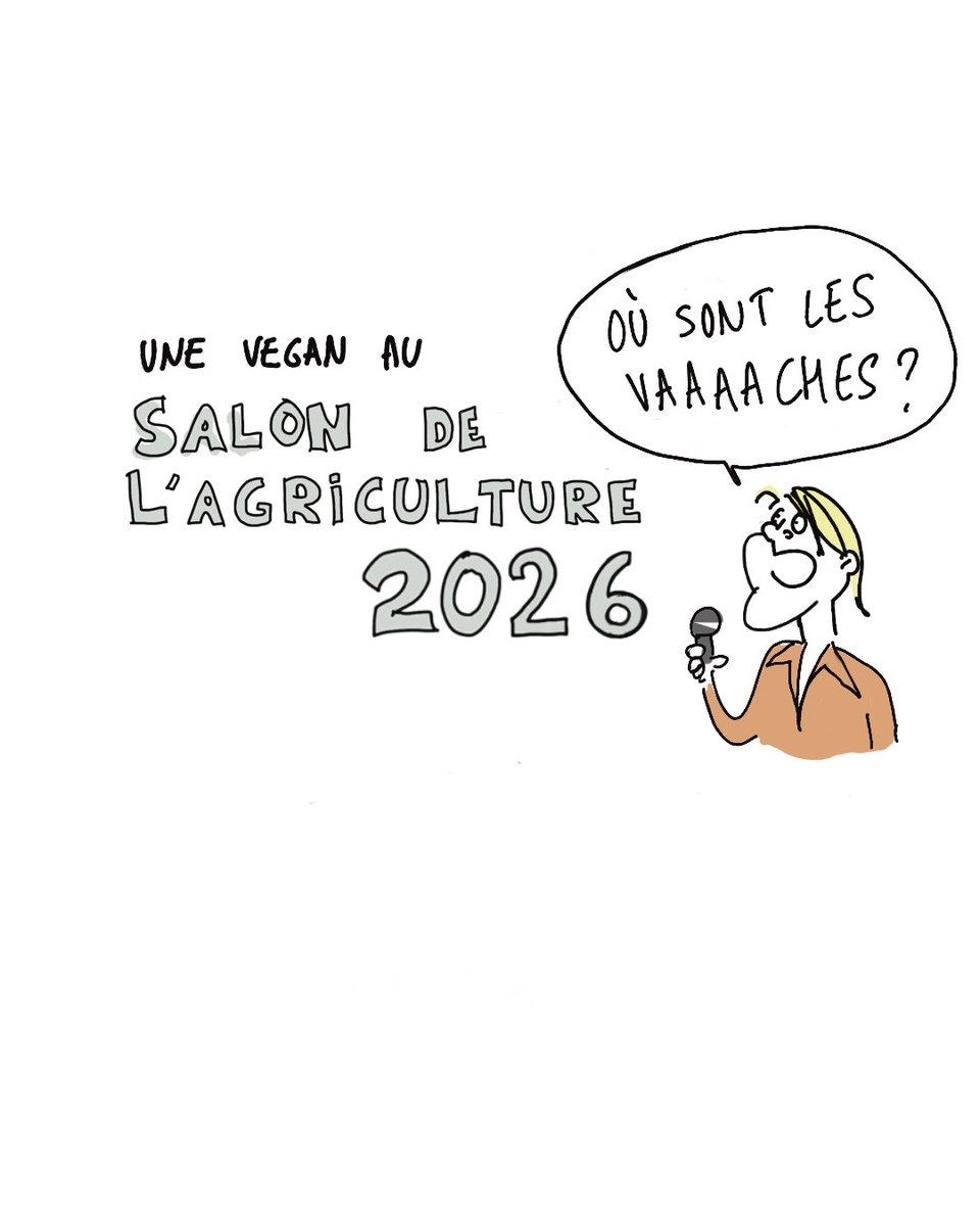 Insolente Veggie 🧠🐦‍⬛ tweet media