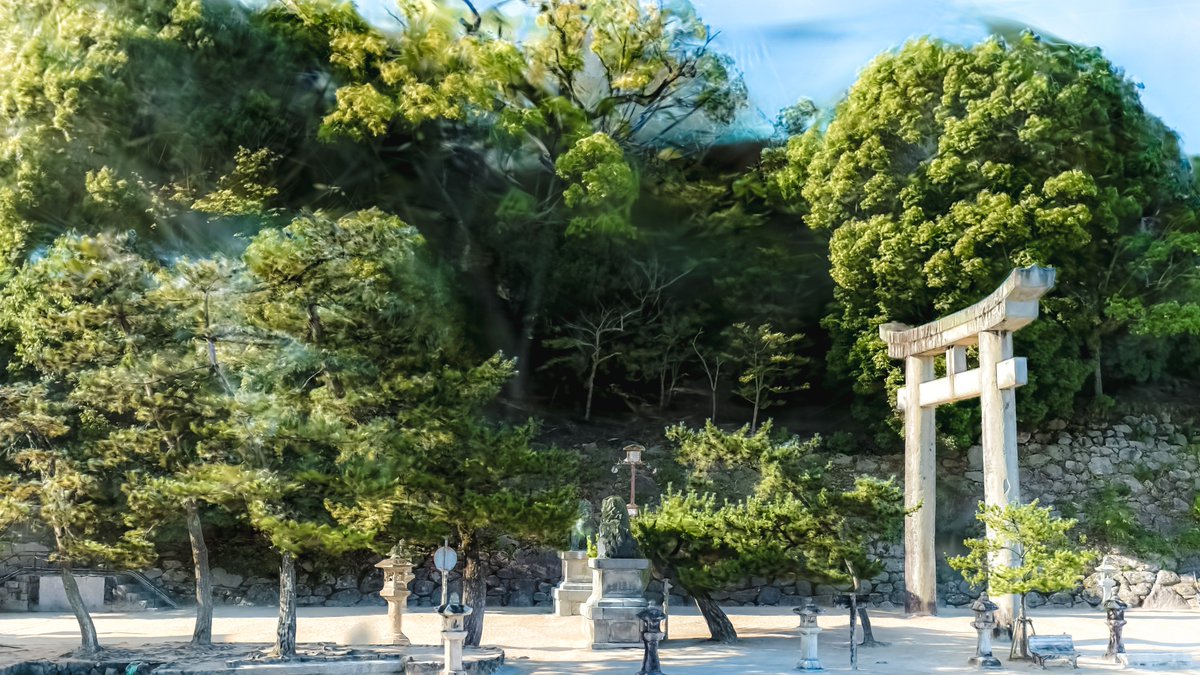 Neomance【VR Photographer】 tweet media