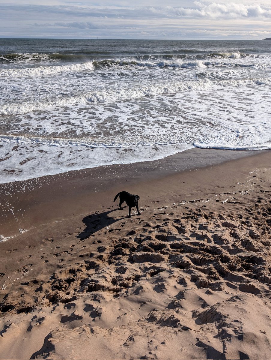 JimiJimirae's tweet photo. Beach walk day. Surfs up on a high tide...🐾🐾👣🌊⛱️🏄‍♂️
#LunanBay #Angus #Scotland #BaneOfMyLife #JustWalkIt https://t.co/taBLUzwVKh