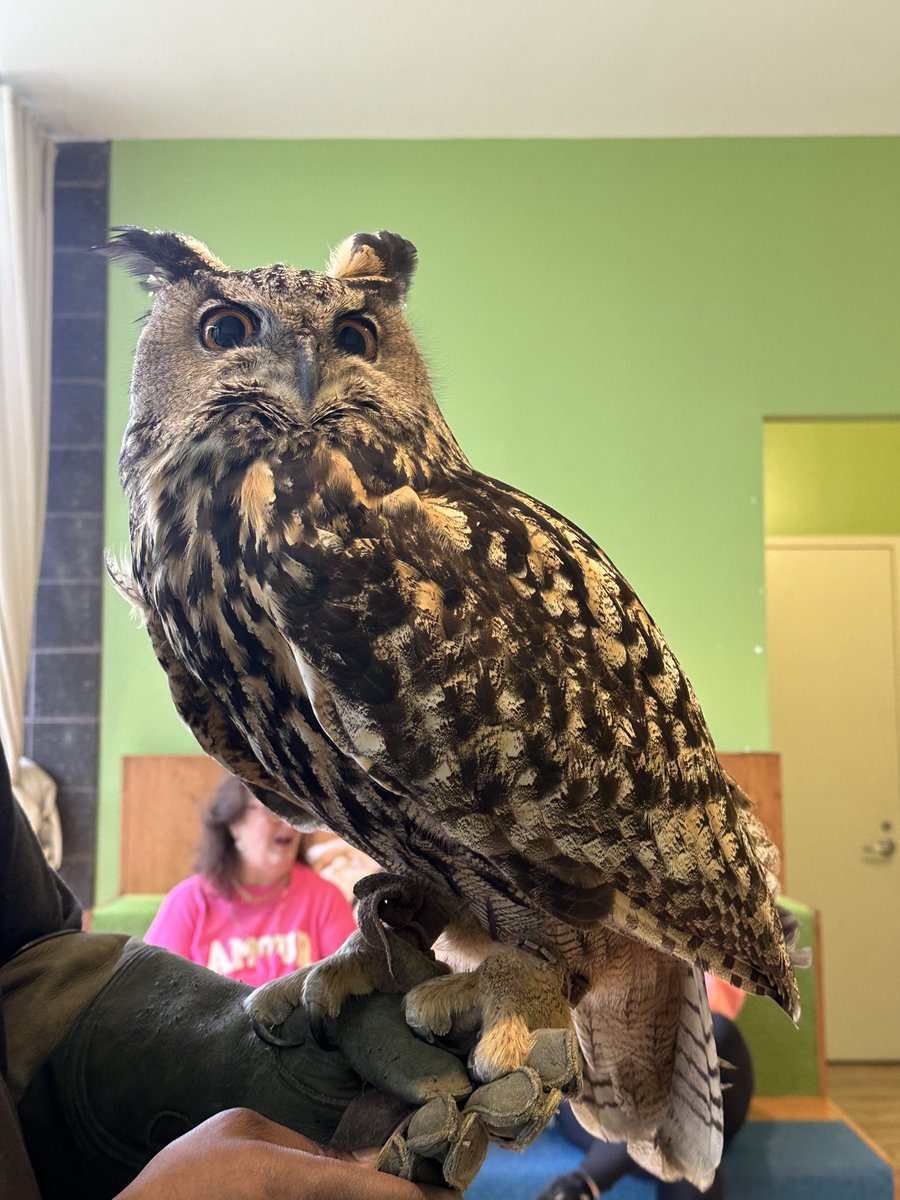 Mary Eddy🏇🏼 tweet media