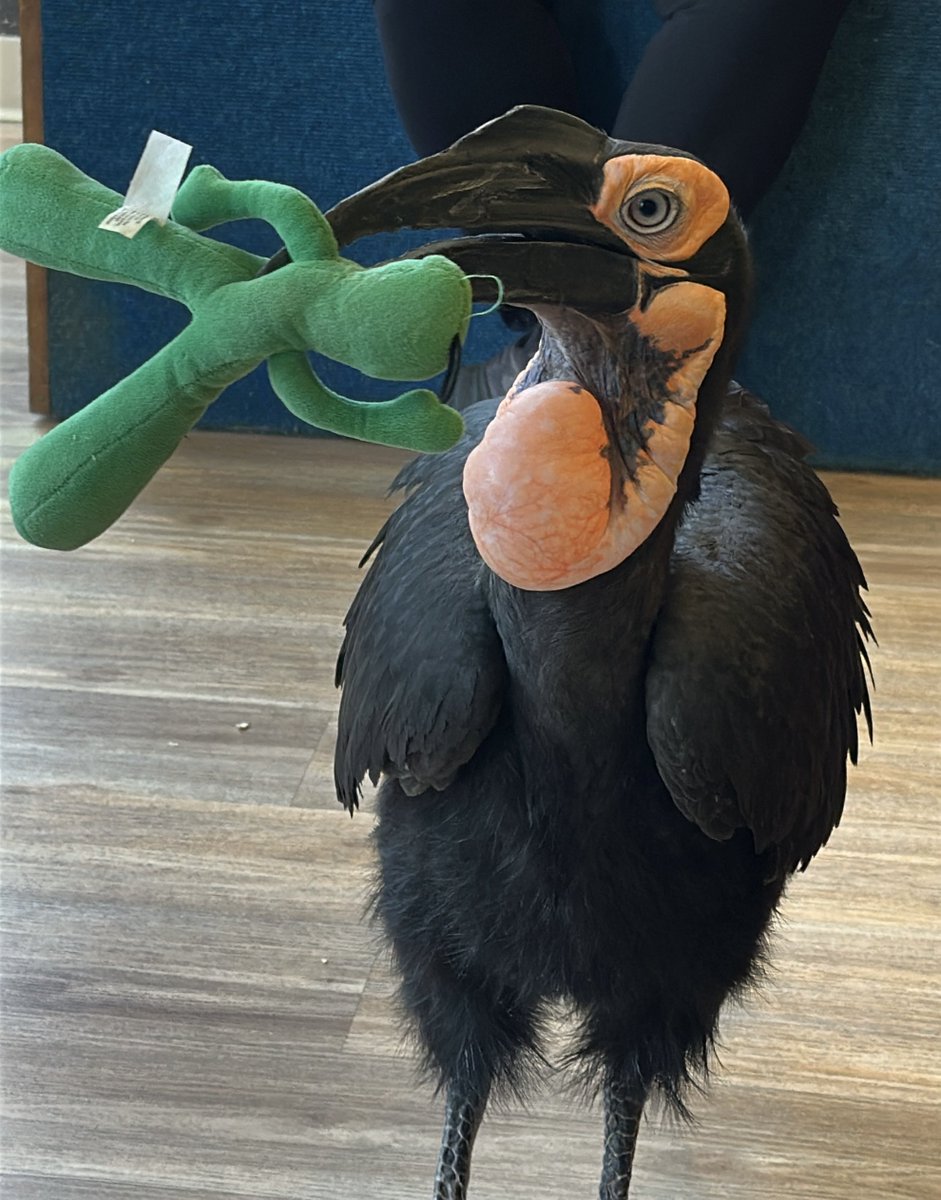 Mary Eddy🏇🏼 tweet media